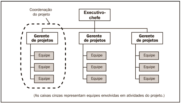 Estrutura Projetizada